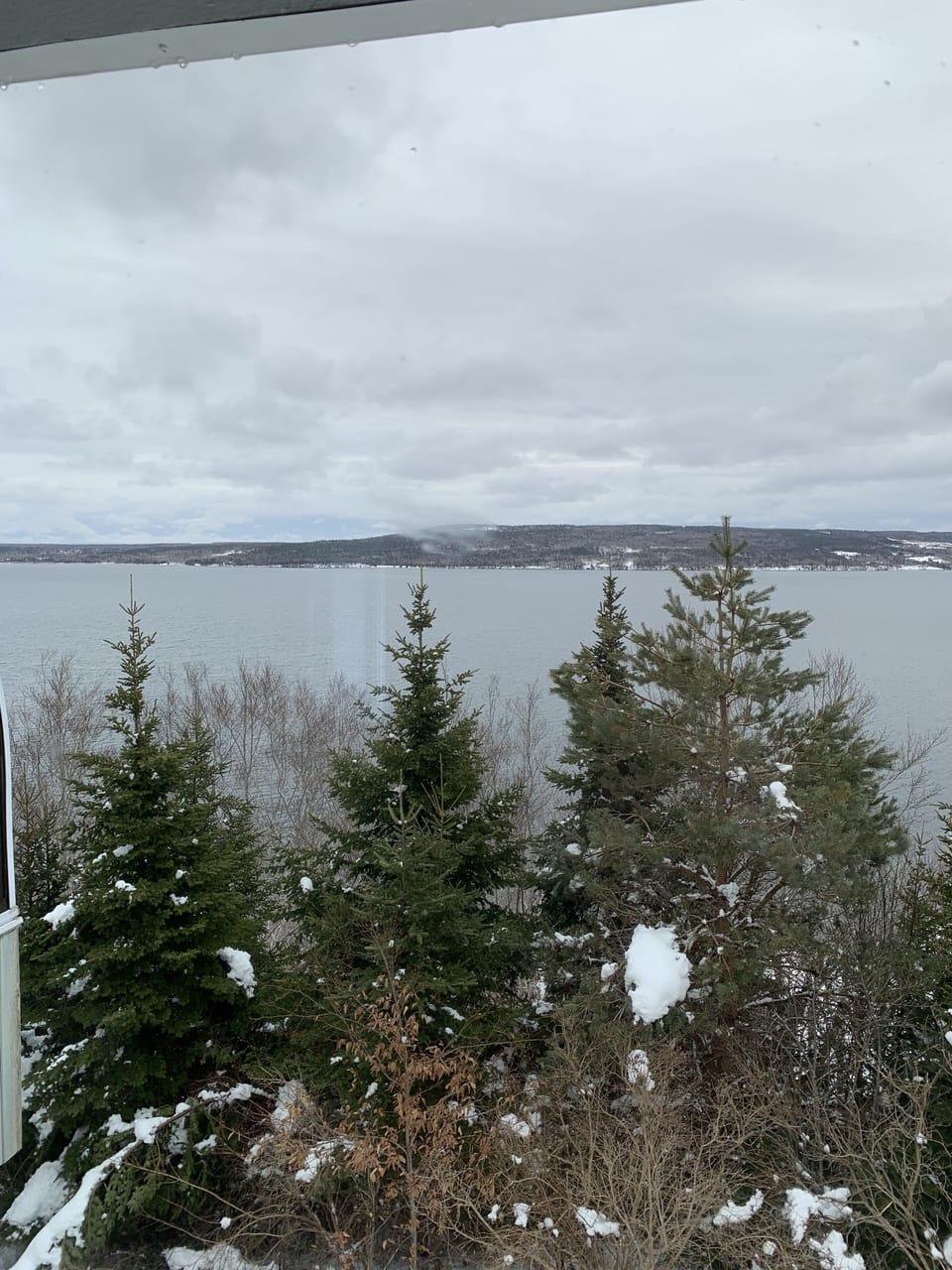 View from property