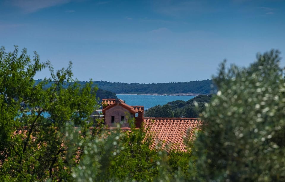 view-from-room