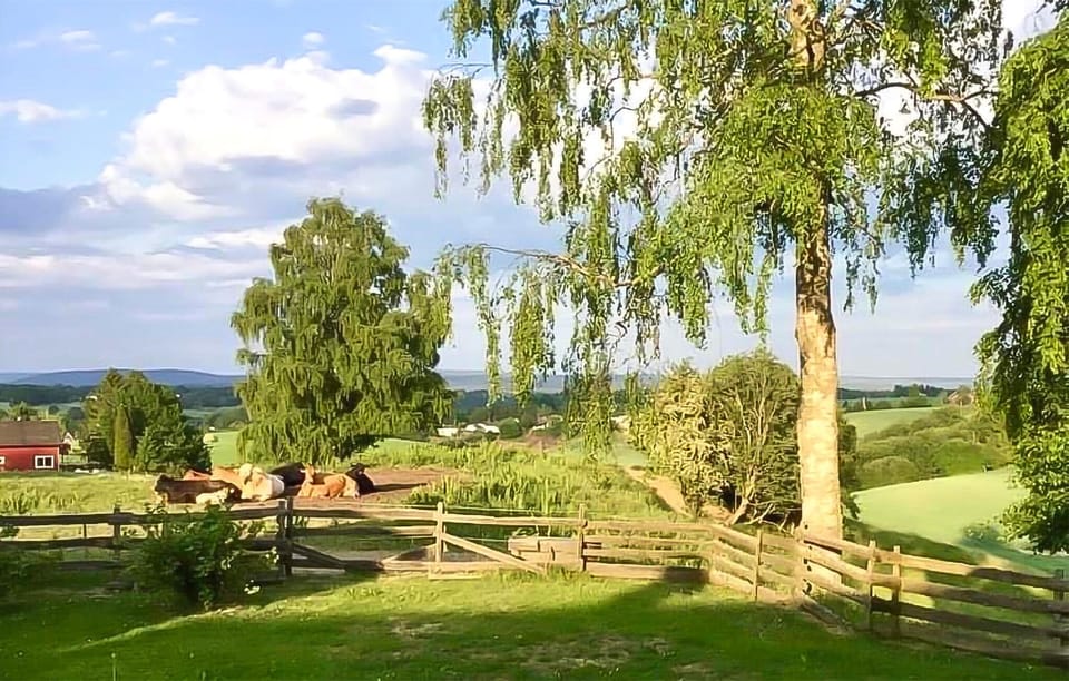 view-from-room