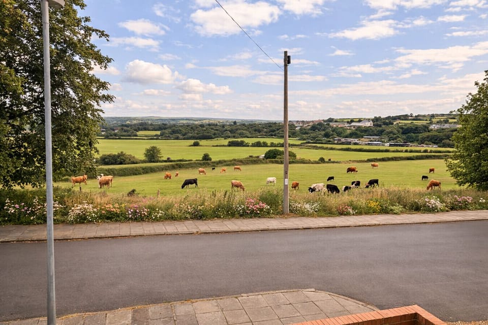 A lovely spring day at Summit View