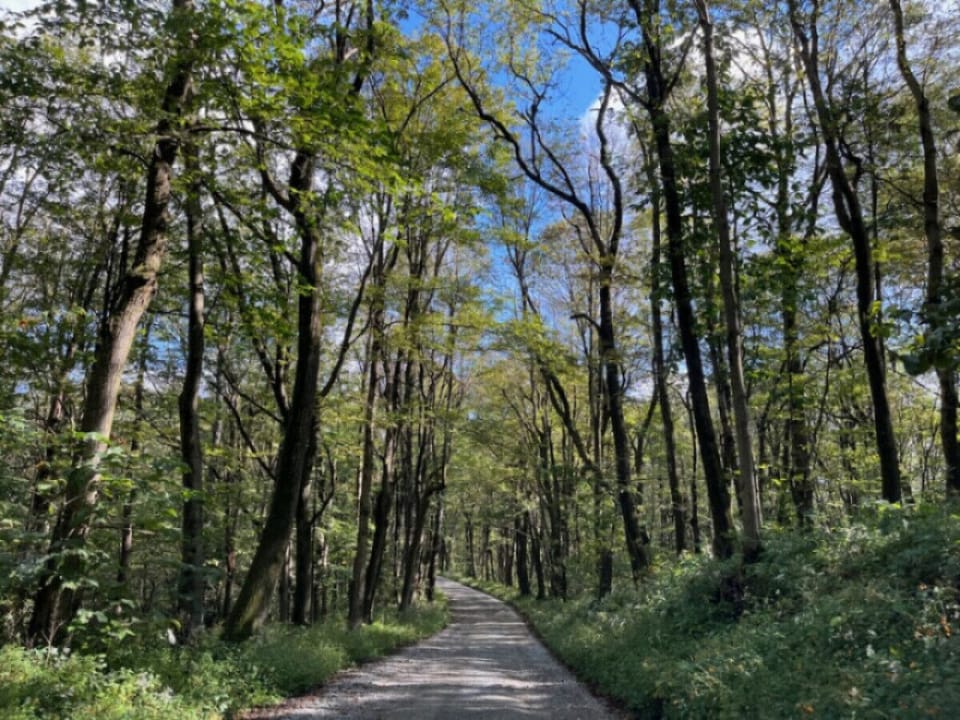 Take a sunday drive on the back roads surrounding the resort