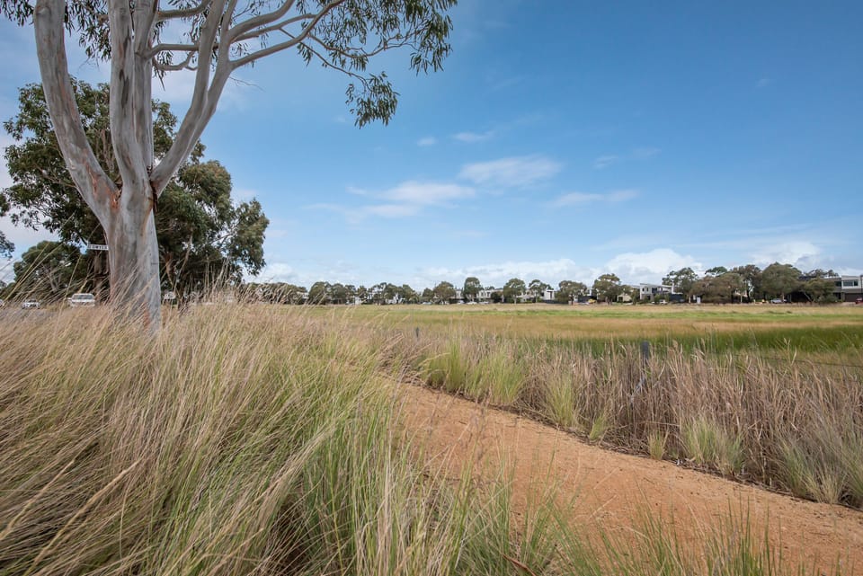 View of Wetlands Opposite House