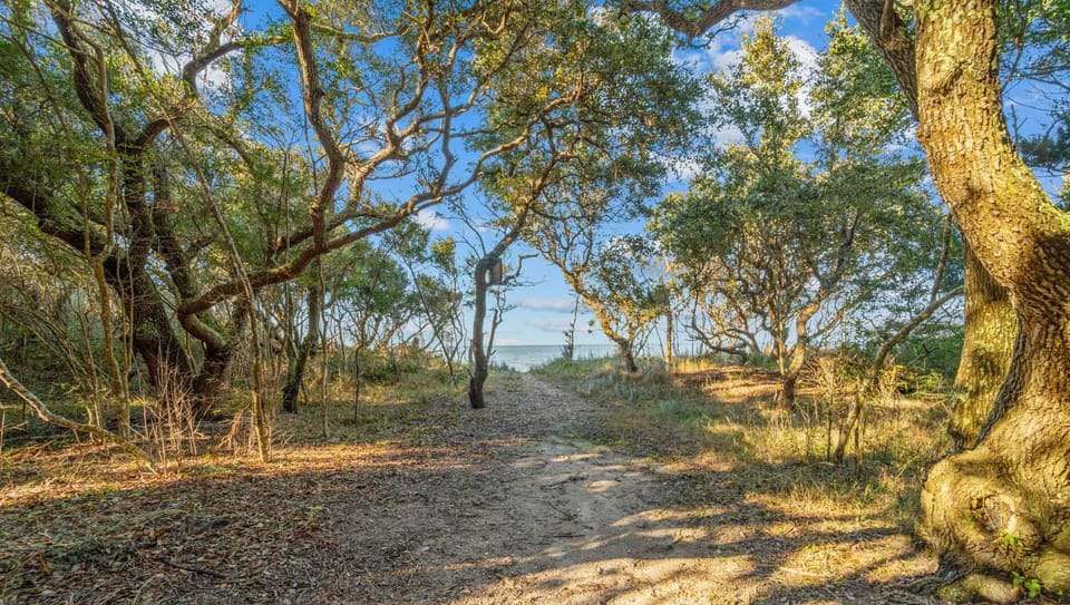 28-Surf or Sound Realty - 1162 - The Roost - Sound Access - Label