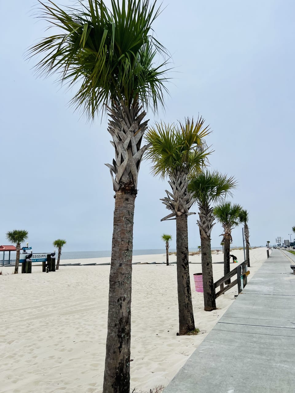 This shot was taken exactly 1.5 blocks from the townhouse.