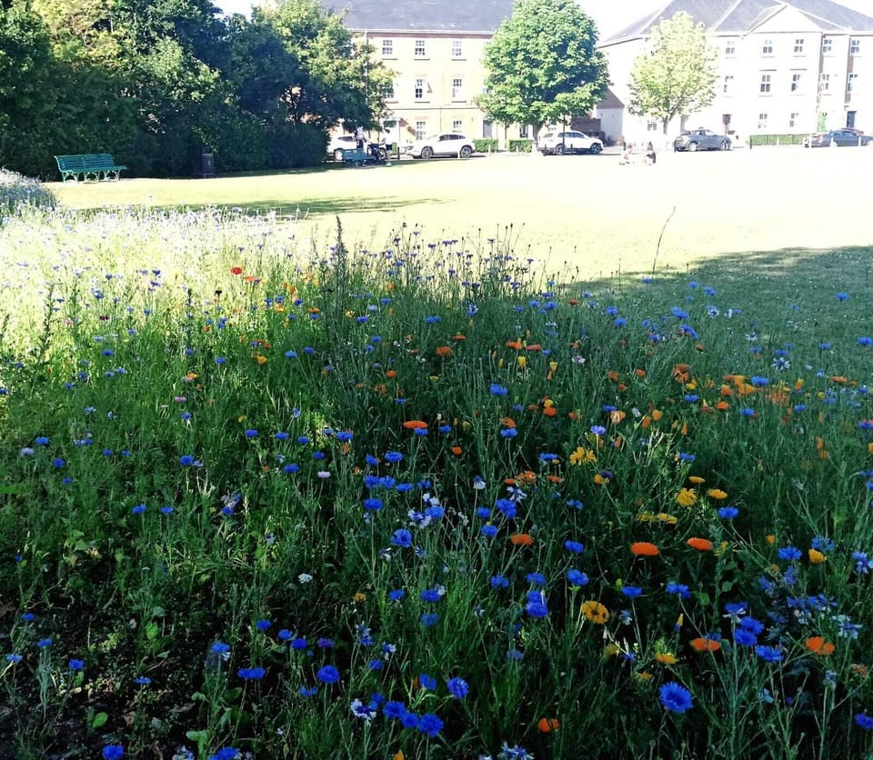 Views from the park opposite the property.