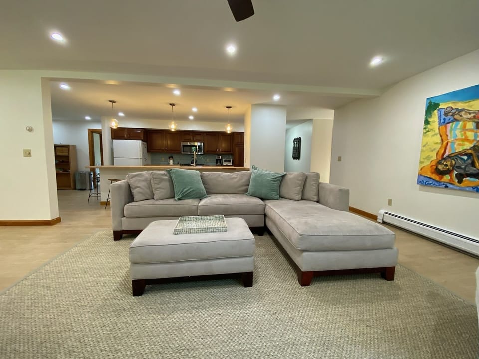 Living Room with Open Kitchen
