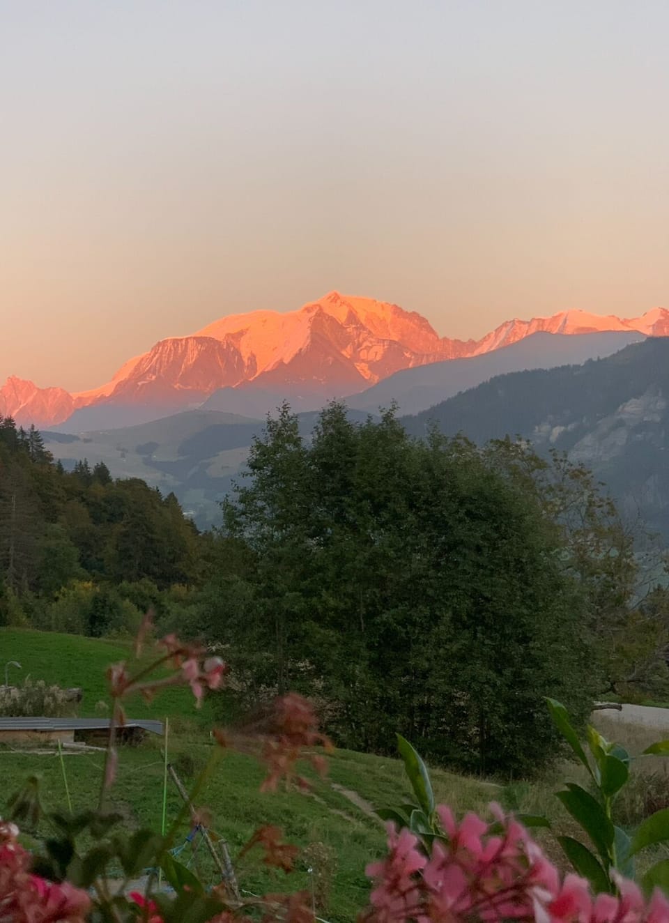 View from property