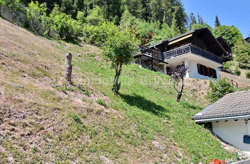 View of the house