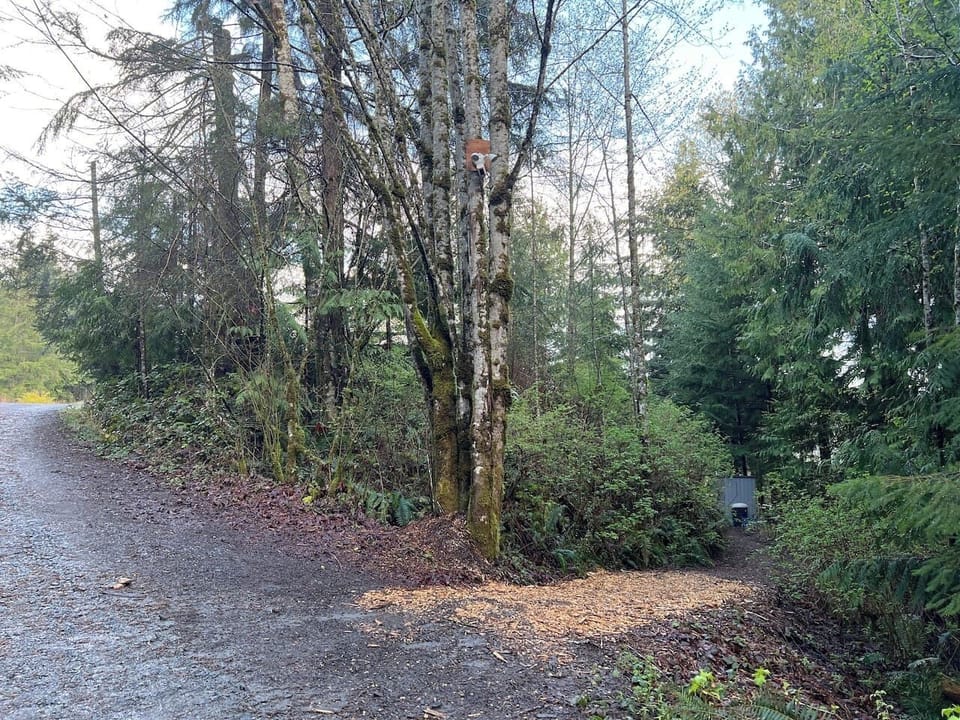 Path to Entrance Lit at Night