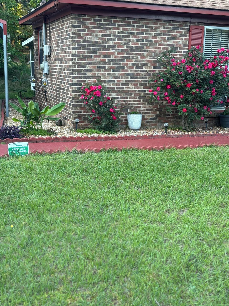 Another view of the beautiful flowers& greenery surrounding the house. 