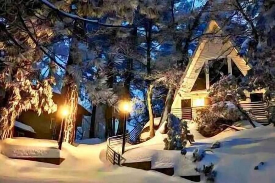 Panoramic large windows framing the serene forest views