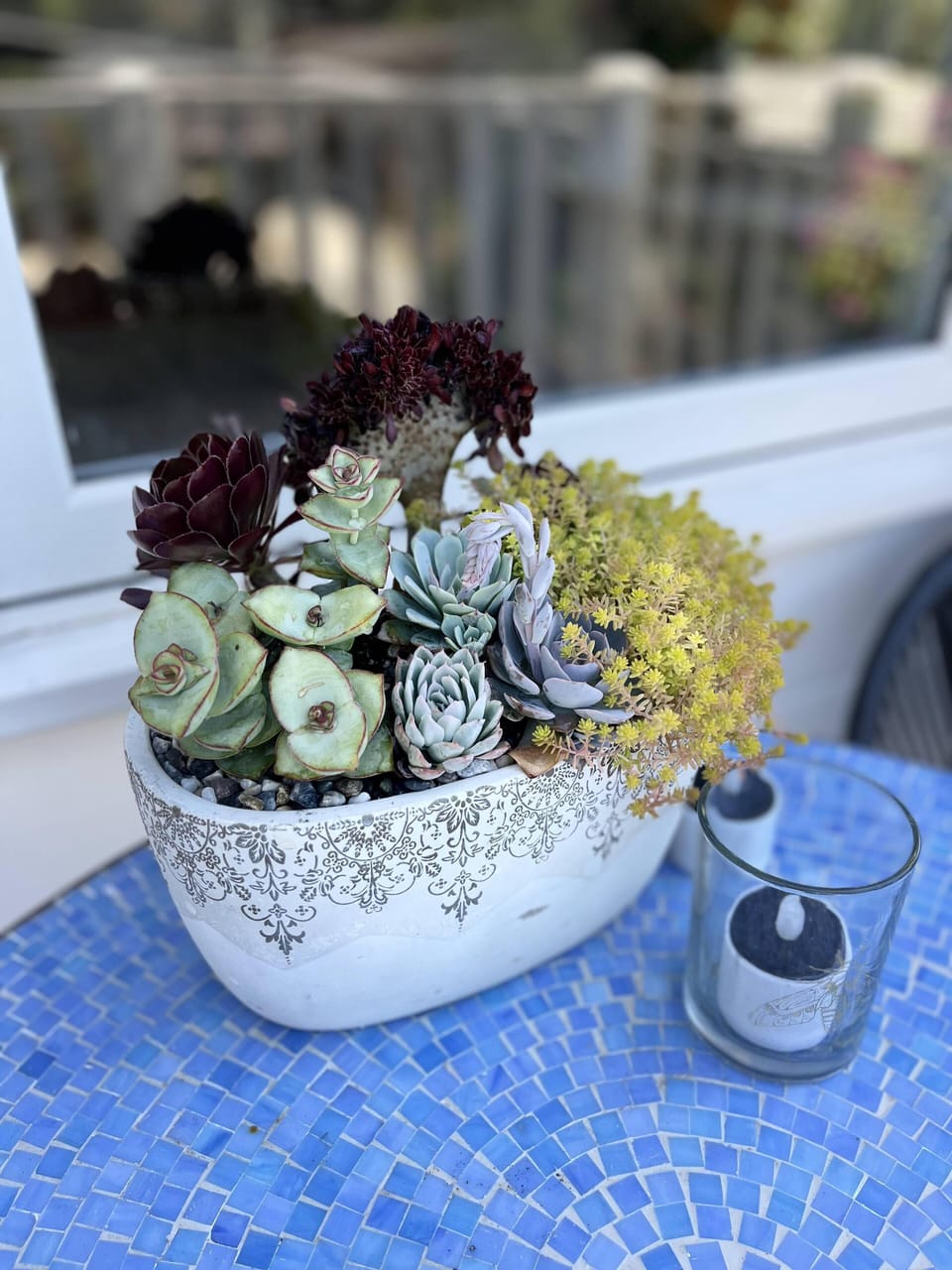 Beautiful succulent arrangement at front patio