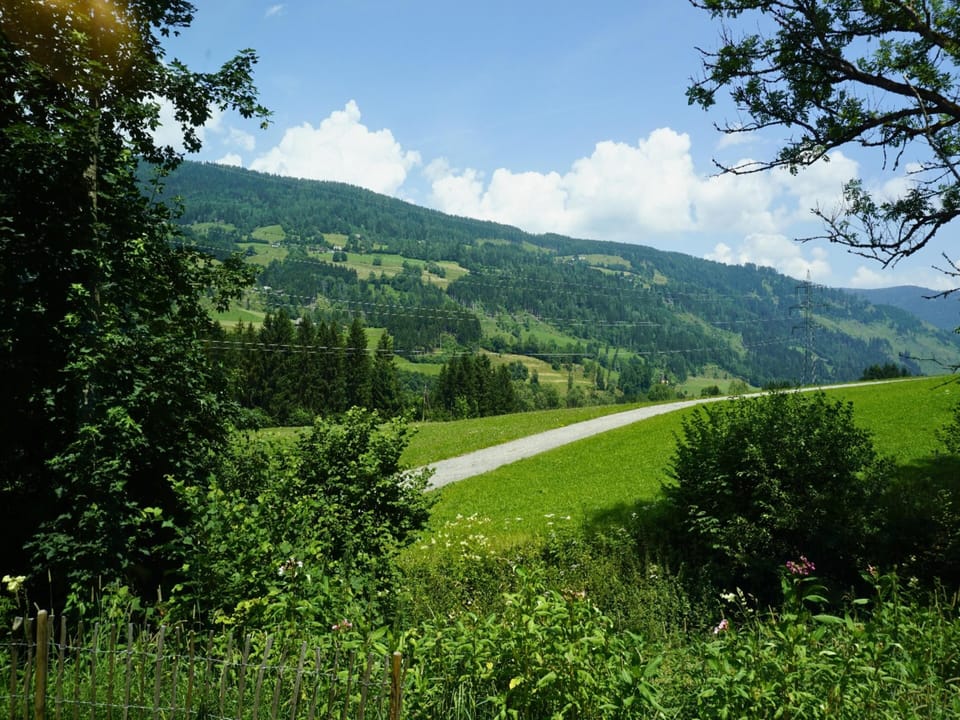 Immediate Surroundings [summer] (<1 km)
