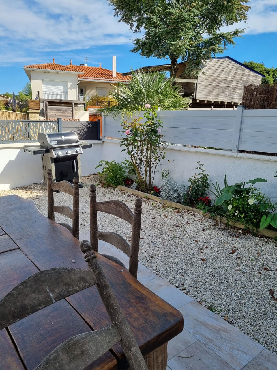 Patio garden and dining area