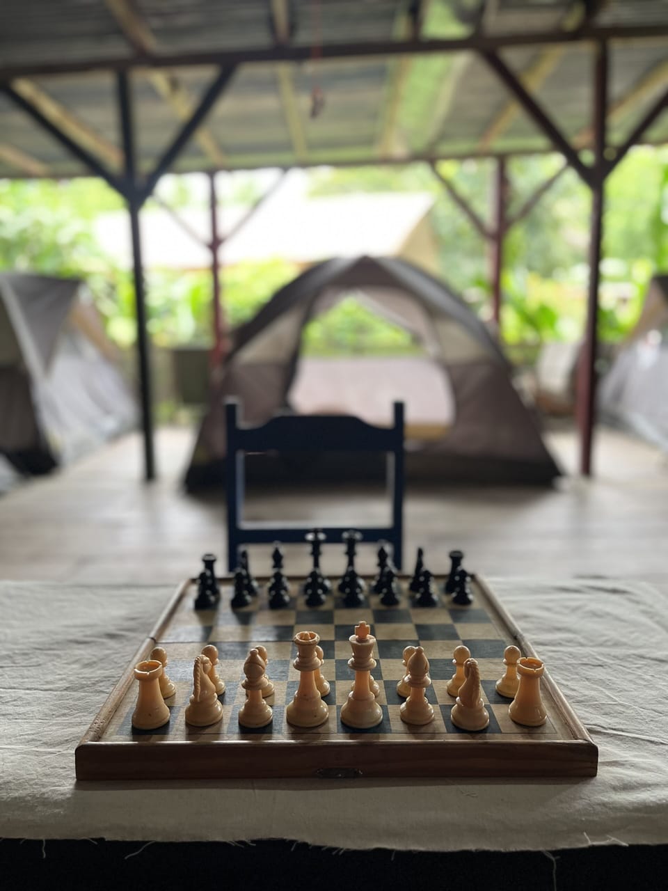 Children's area