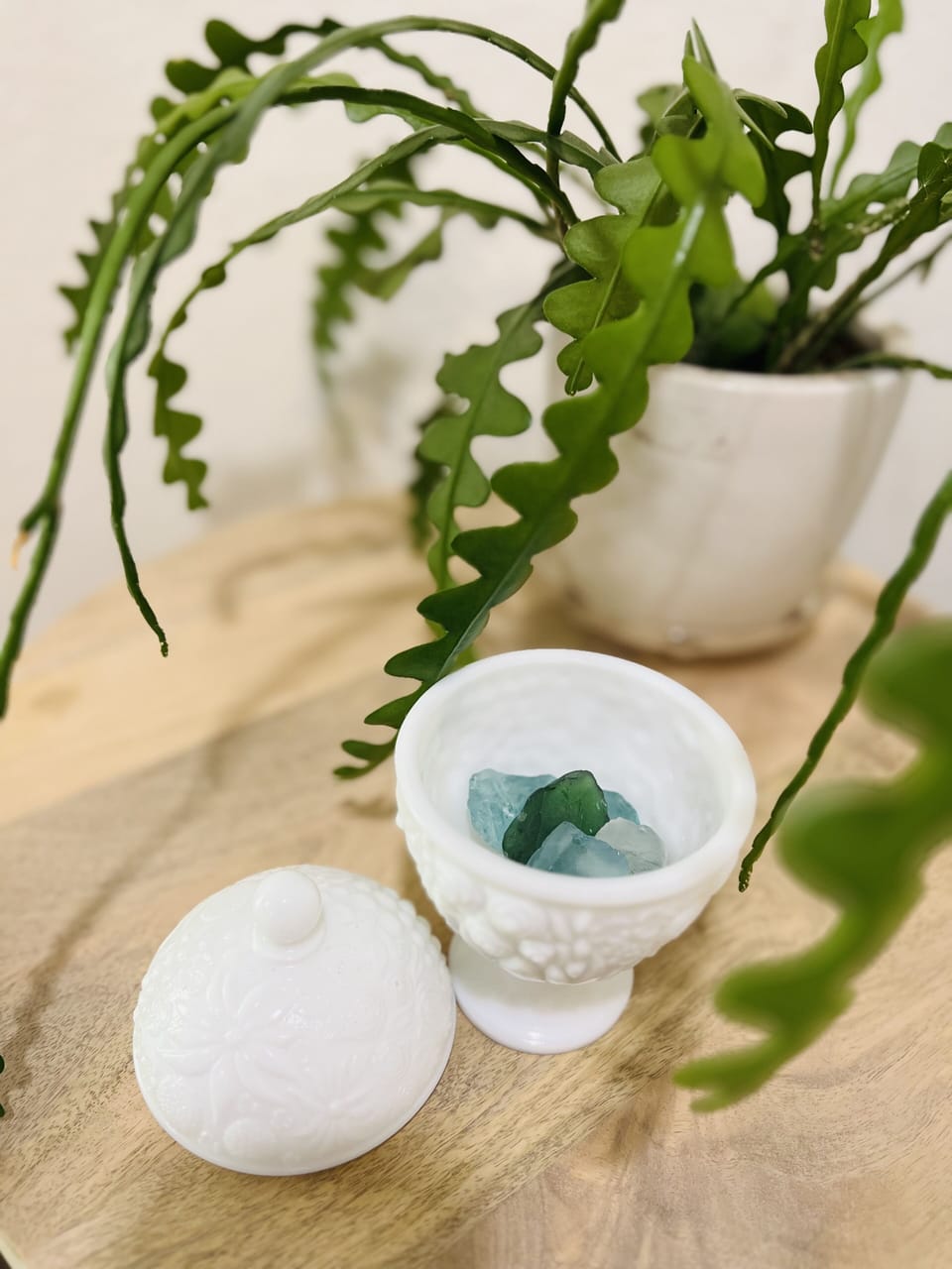 Live plants in most rooms.