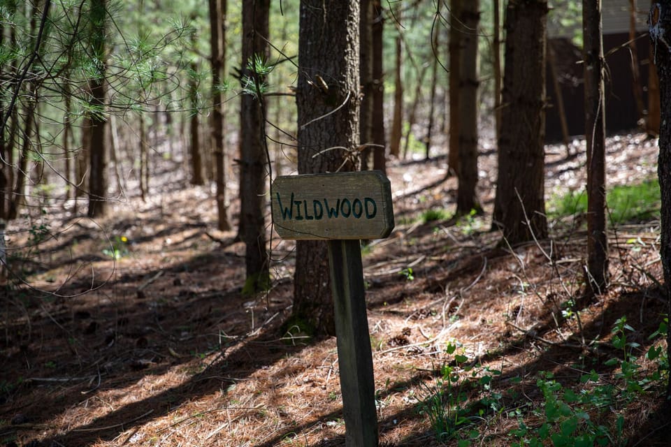 Wildwood sign