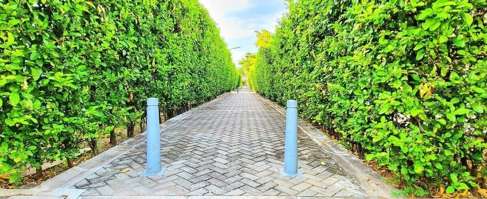 On site