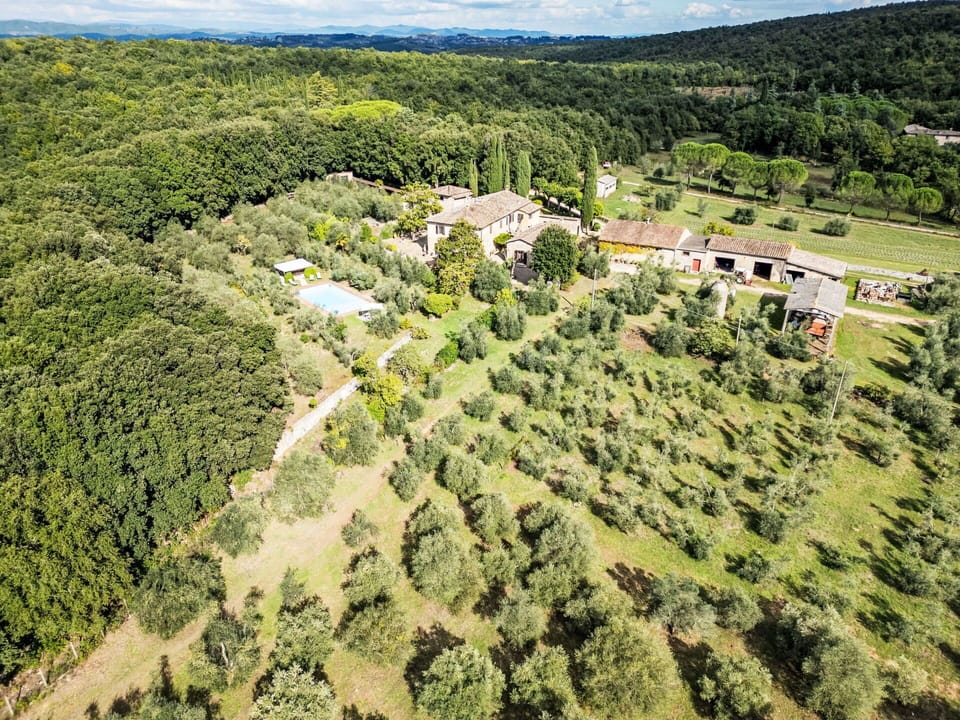 Tree, Natural Environment, Landscape, Bird'S-Eye View, Aerial Photography, Natural Landscape, Rural Area, Residential Area, Land Lot