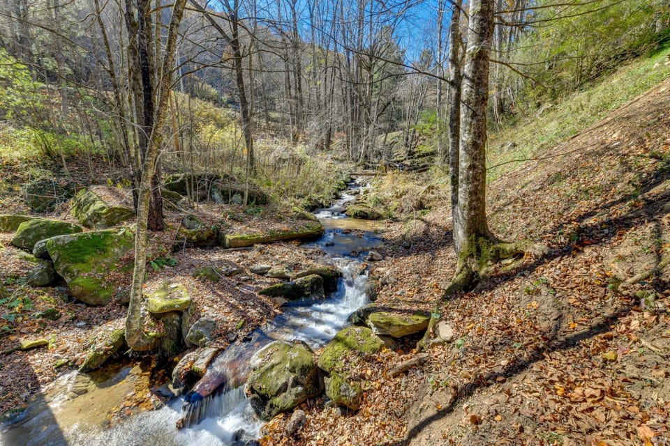 Stream Views From Deck
