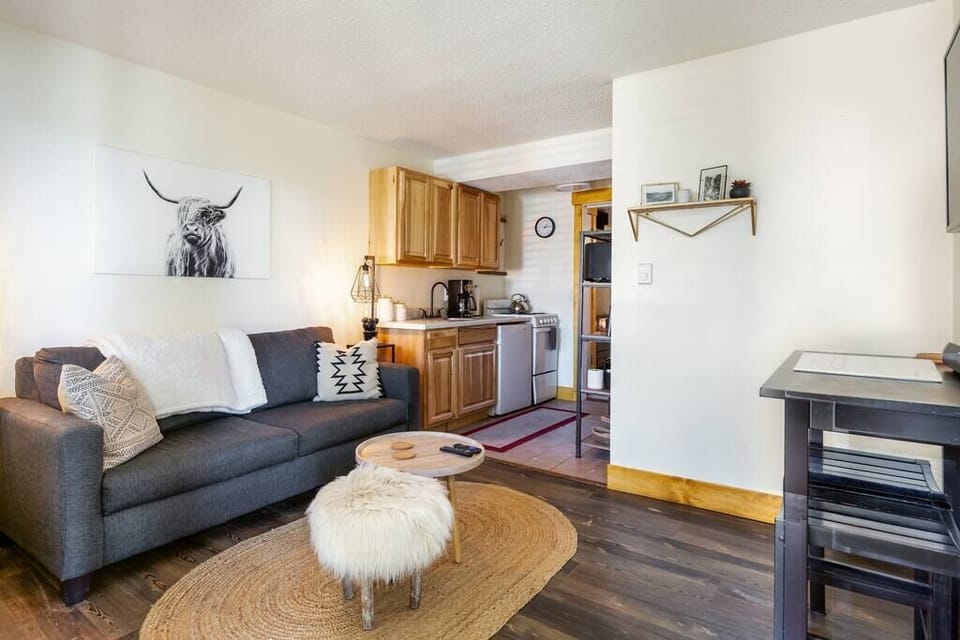 Living Room / Kitchen