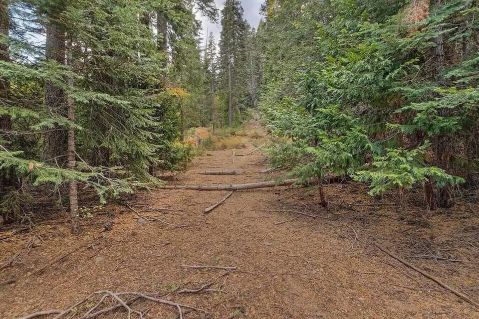 Ski out trail that leads from Homewood to right behind house.