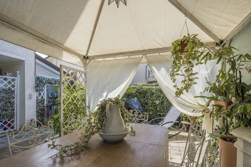 Autumn, Garden, Spring, Summer