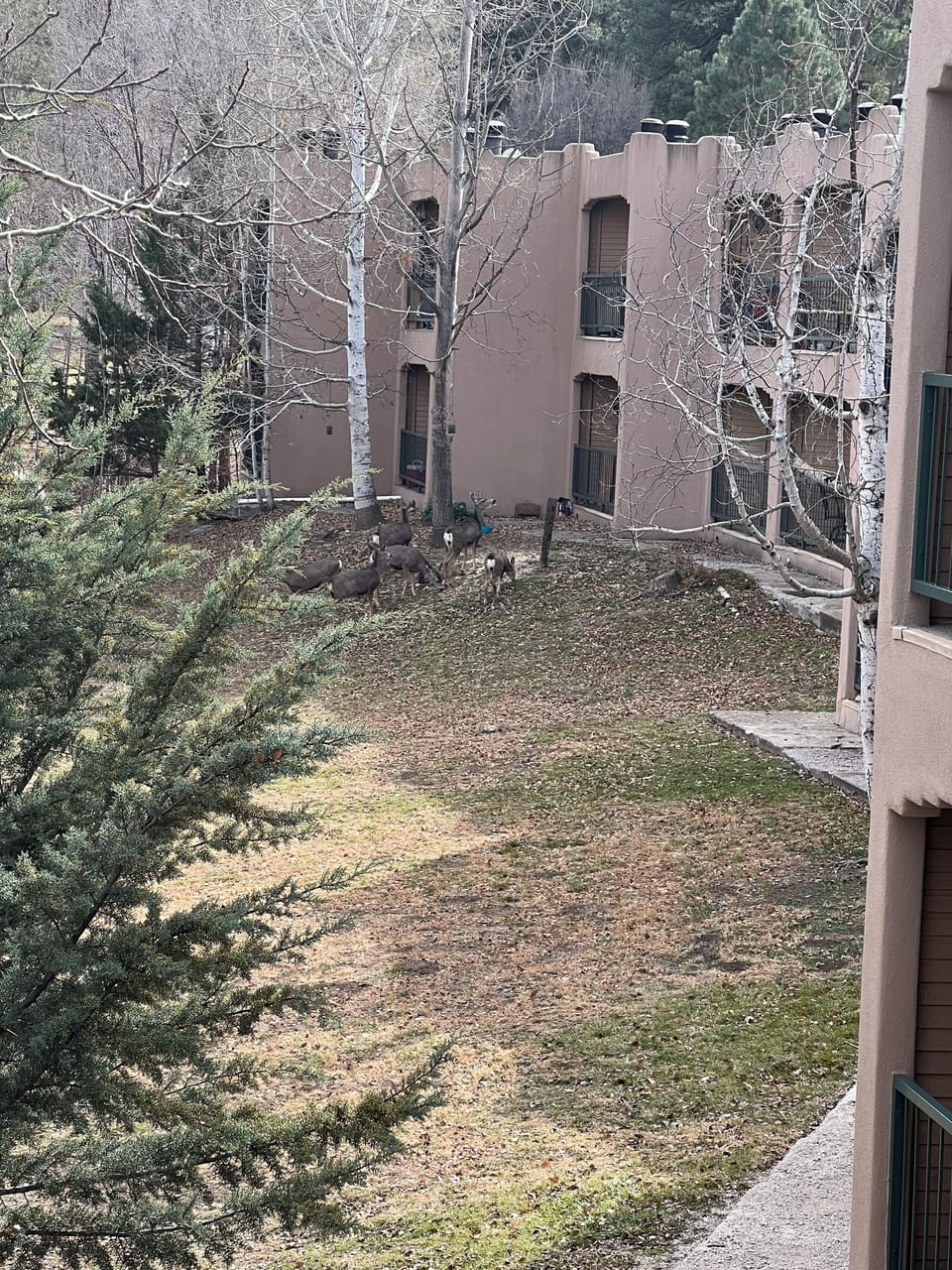 Property grounds