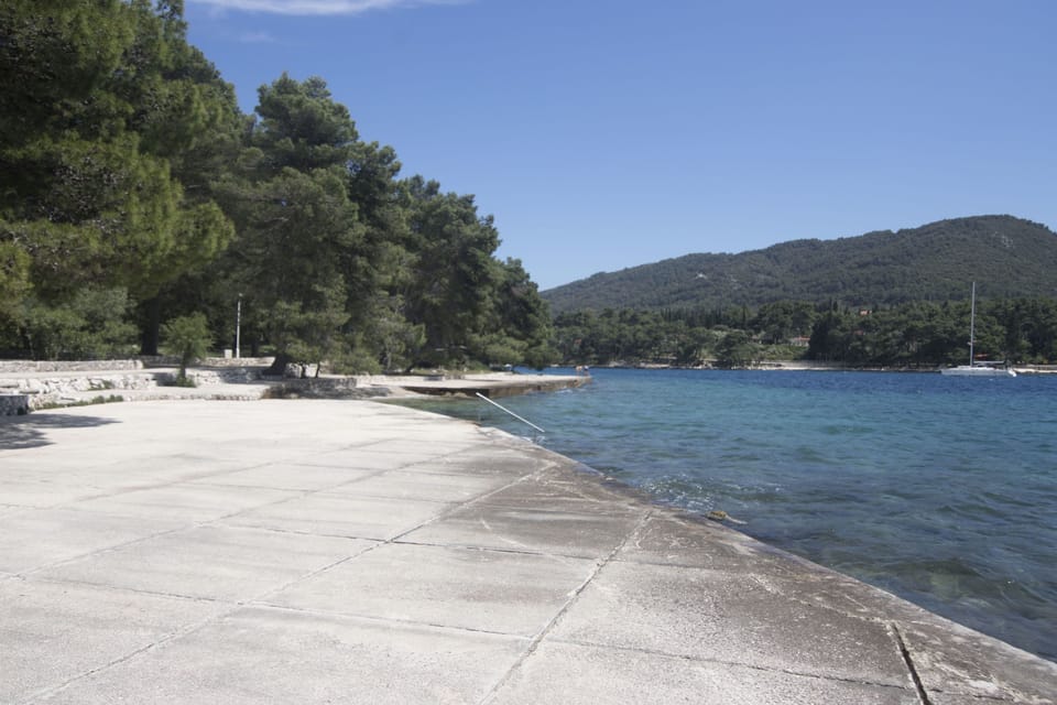 Miscellaneous