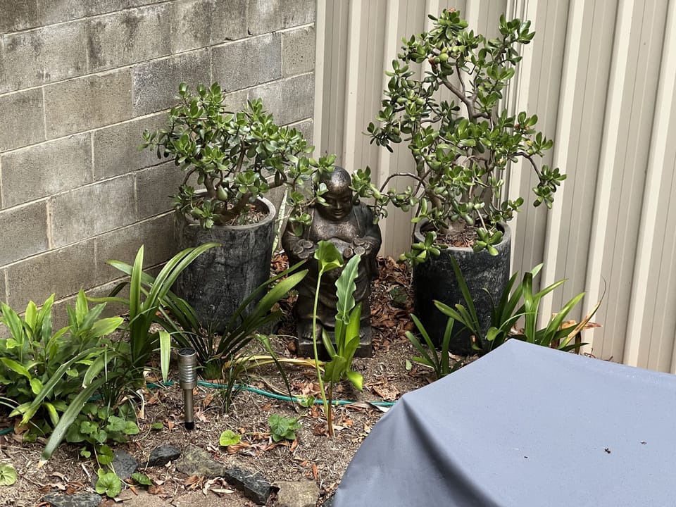 Private Courtyard