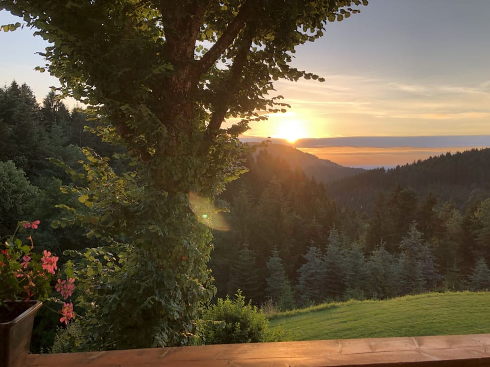 View from property