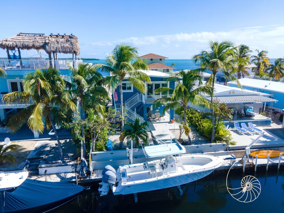 Welcome to Little Miss Muffett