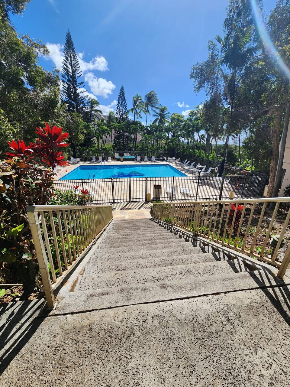 Large pool with plenty of room