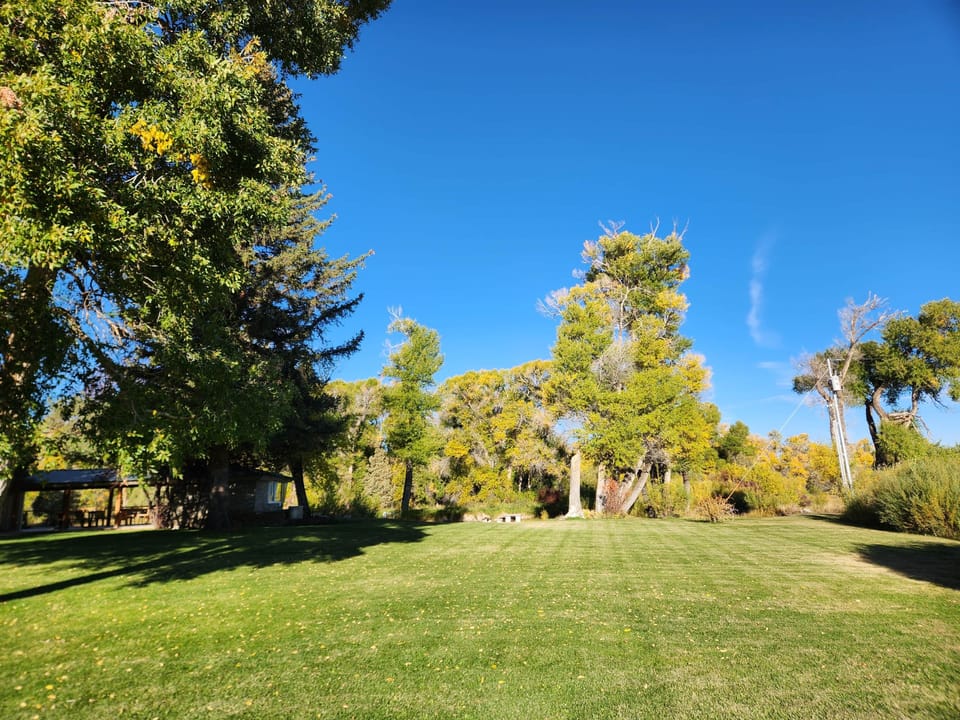 Front lawn 