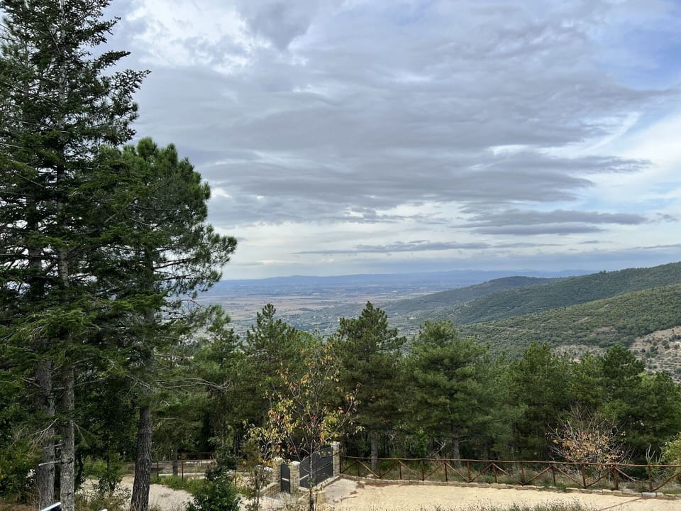 Panoramic view