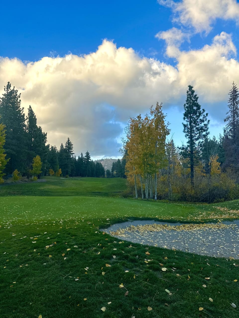 Golf