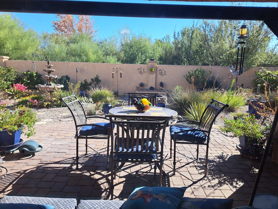 View from living room into backyard garden with water fountain.