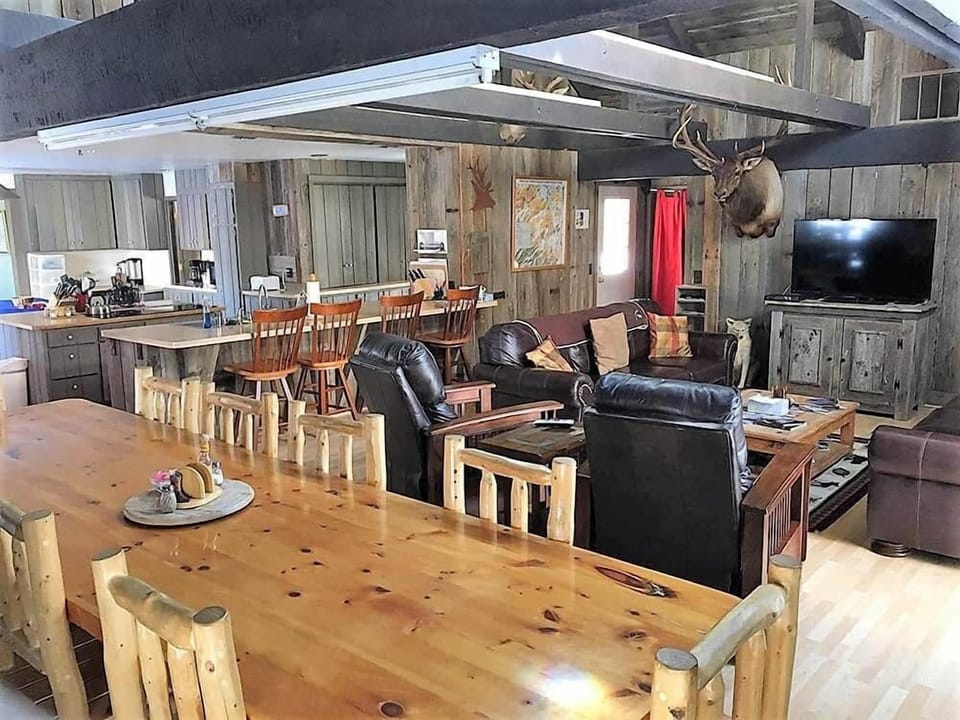 HangingBull LivingRoomKitchen