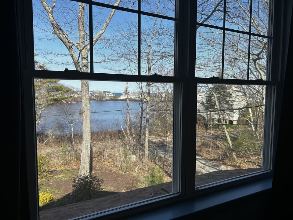 View from Primary Bedroom