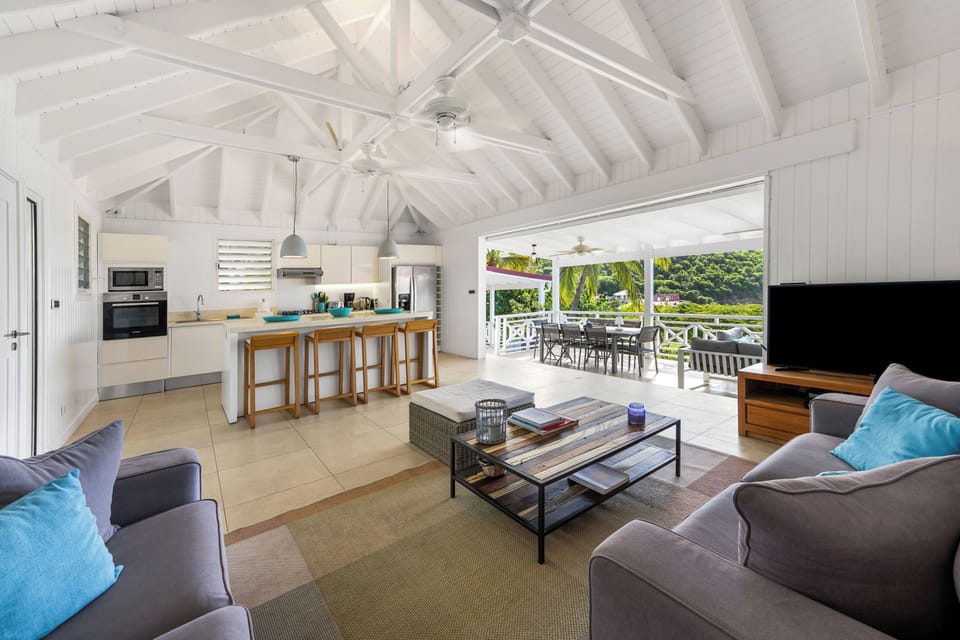 Ceiling fan, HD-TV, Dish Network, Apple TV. 