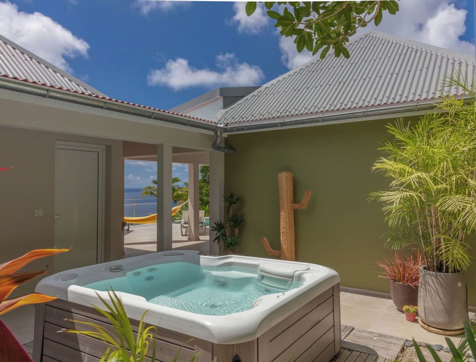 Nice heated jacuzzi on the back of the property. 
