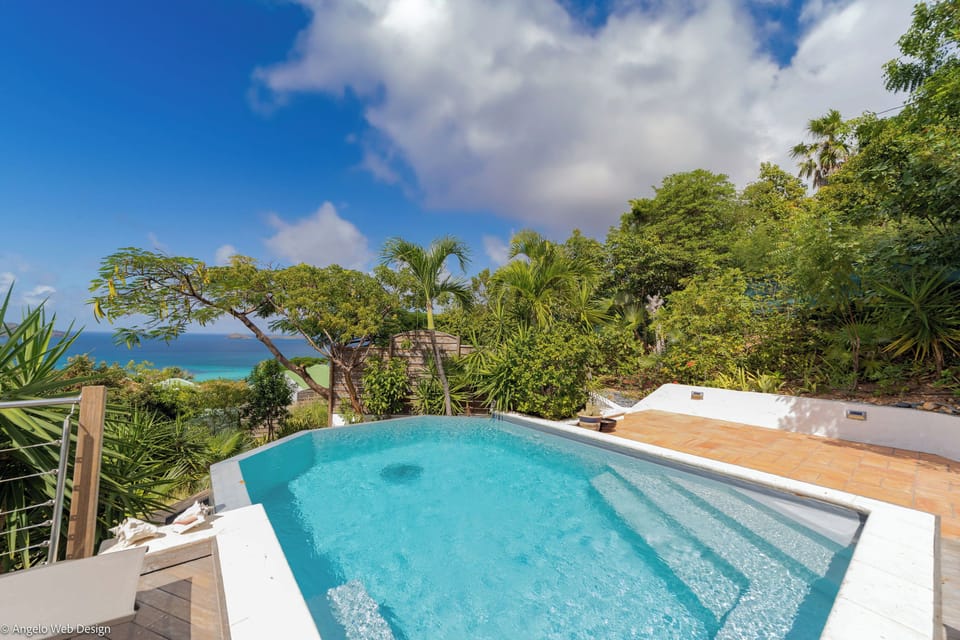 Nice pool pool with steps, expansive terrace, sun loungers. 