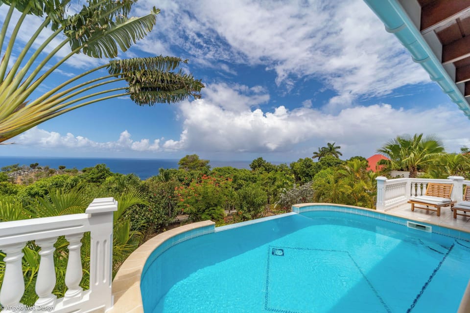 Beautiful pool facing the view, surrounded by a spacious terrace with lounge area. Outside shower. 