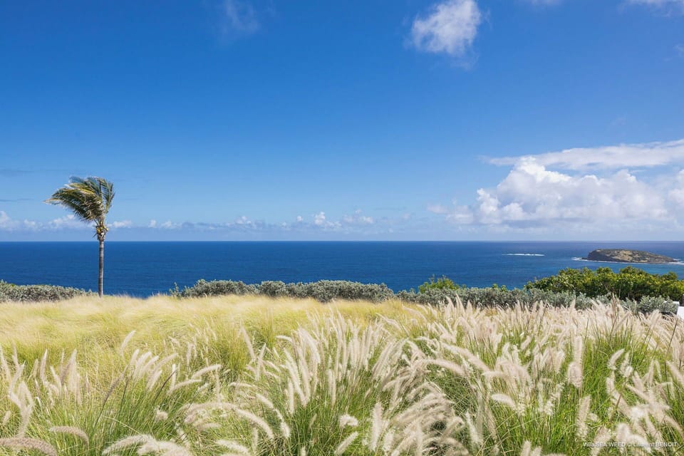 Beautiful lush garden surrounding the property. Private parking at the entrance of the villa. 