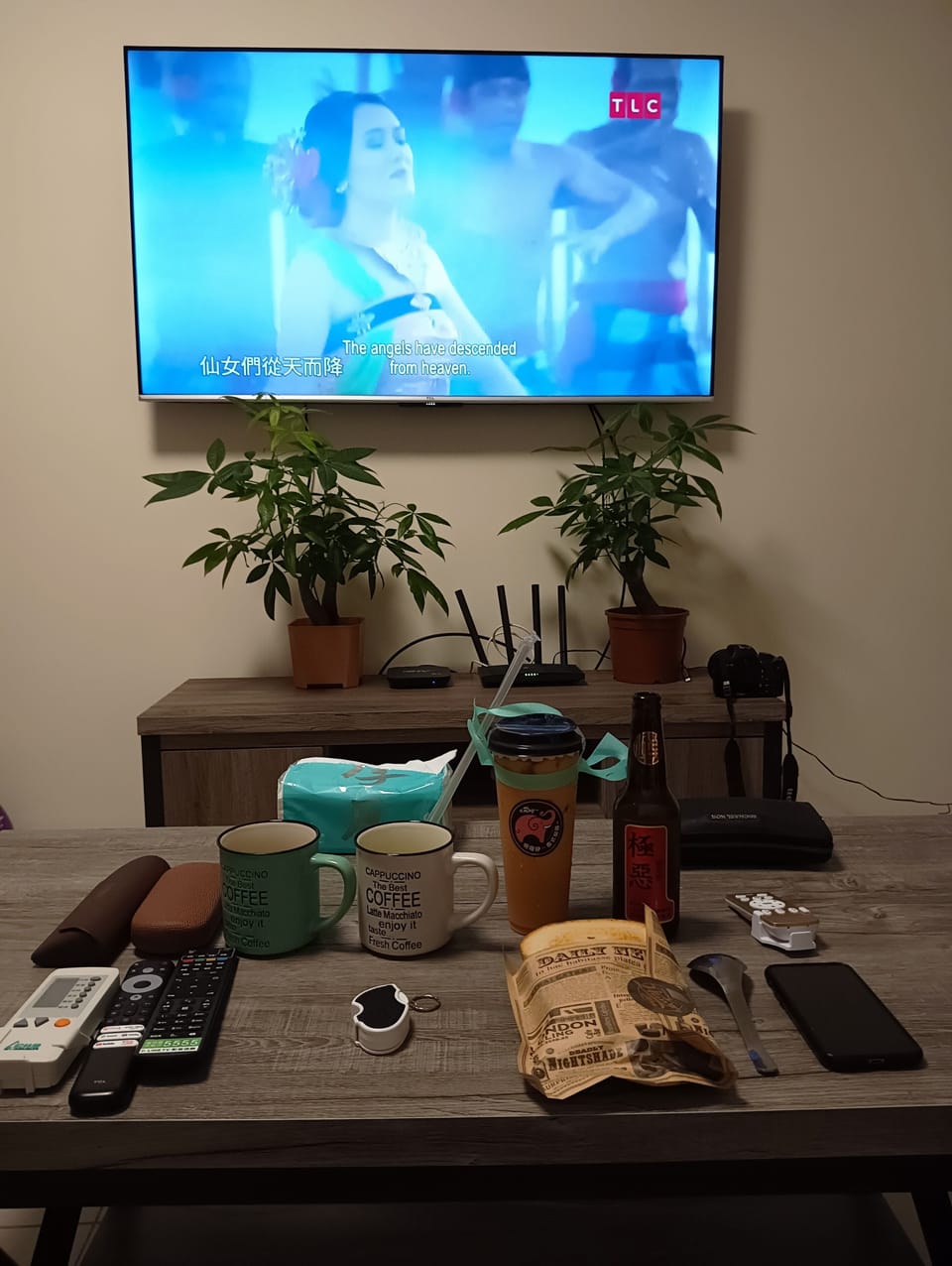 Television