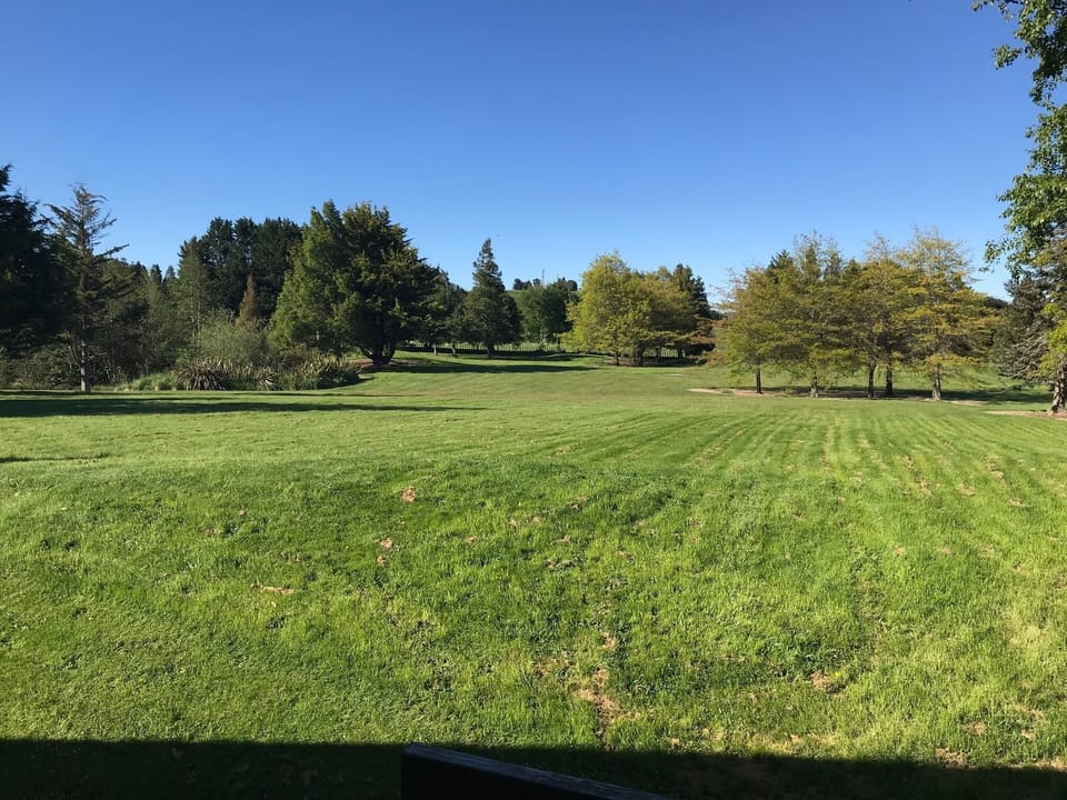 Extensive back yard