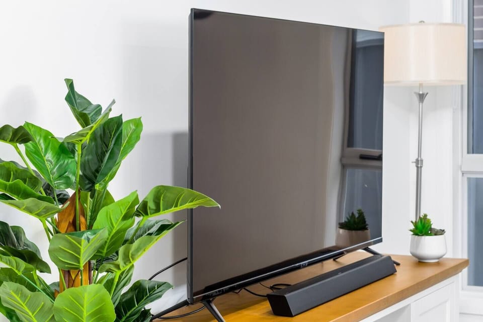 Television