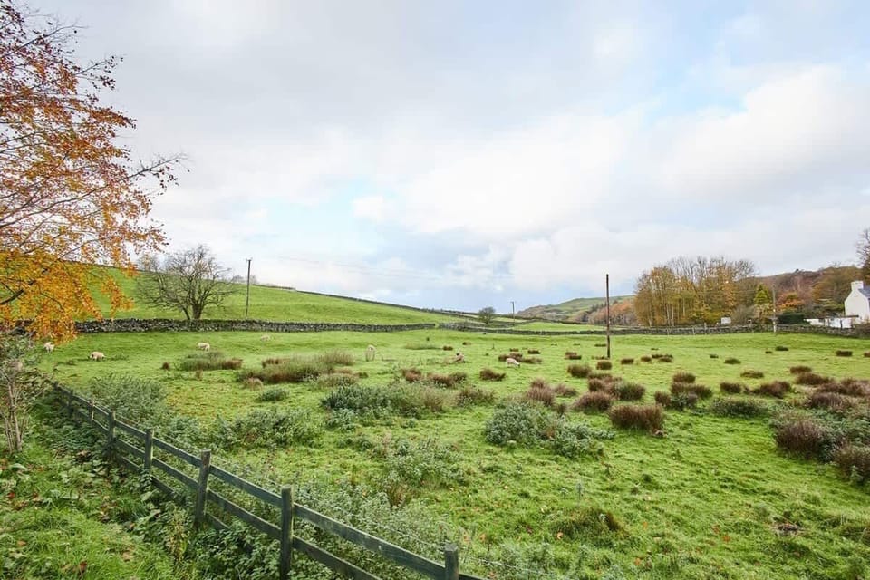 South View, Newton-in-Cartmel - Host & Stay