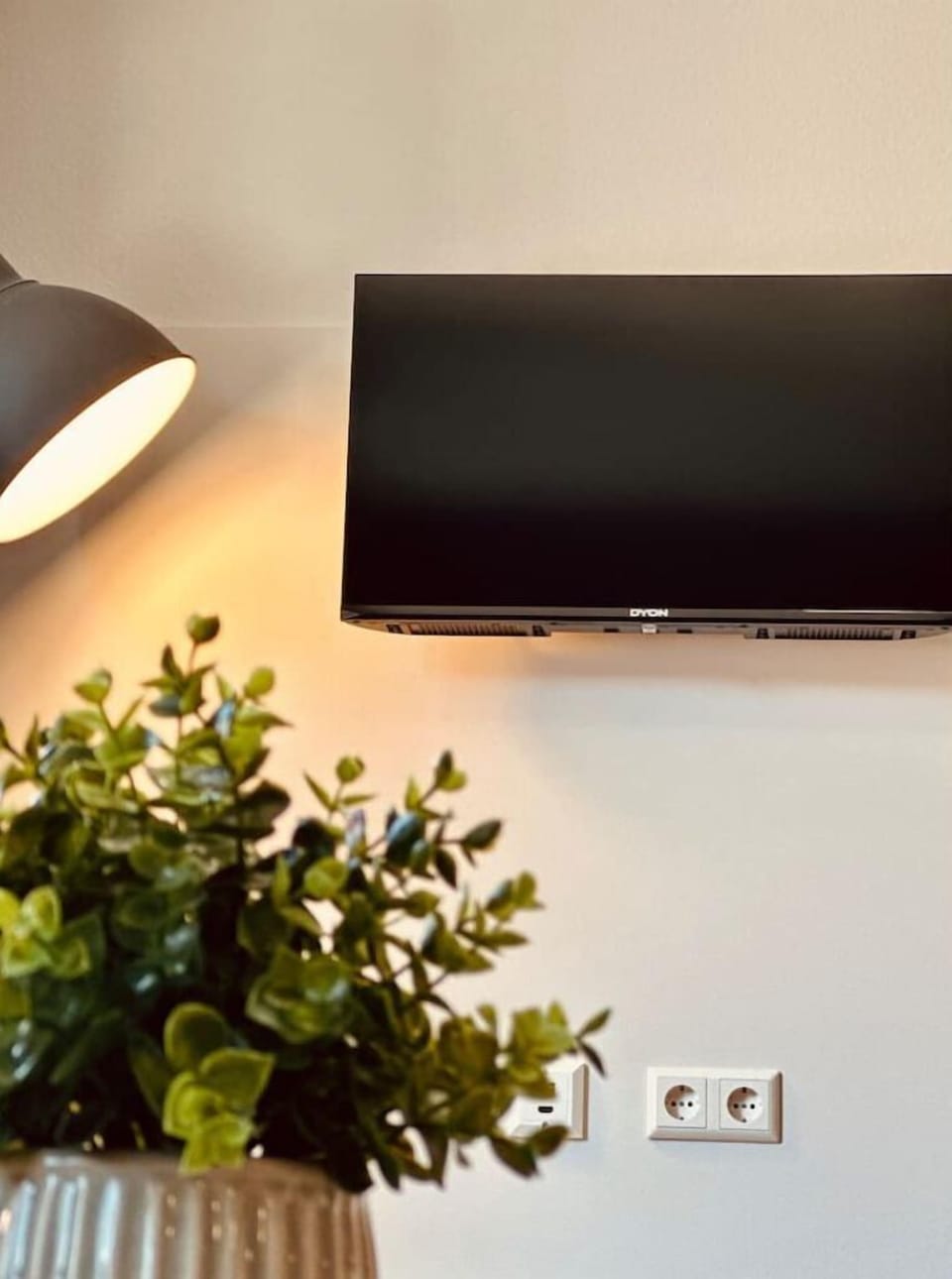 Television