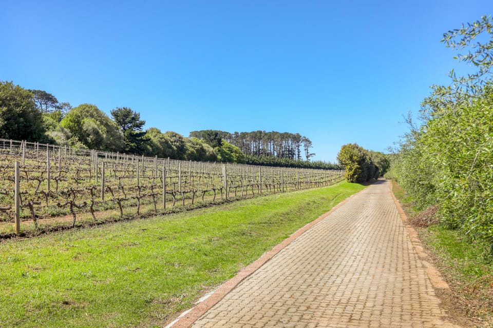 The property has its own vineyard with wine tasting and sales.